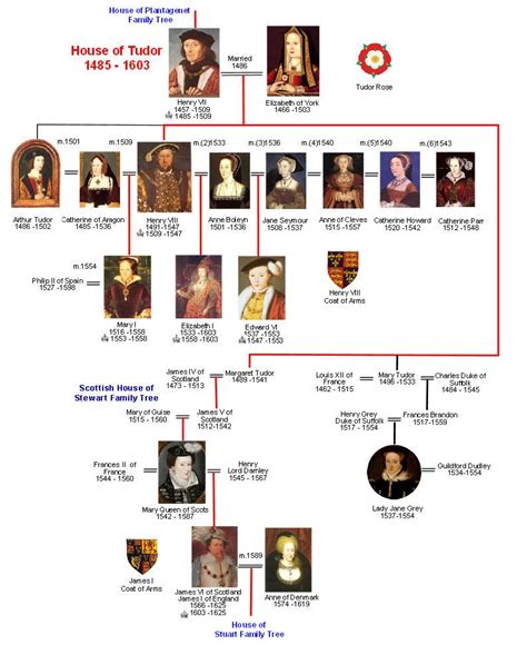 dinastia tudor enrico viii|house of tudor family tree.